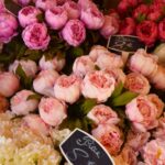 色とりどりの芍薬が並ぶ花屋のディスプレイ