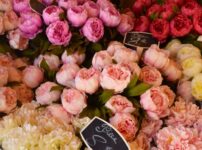 色とりどりの芍薬が並ぶ花屋のディスプレイ